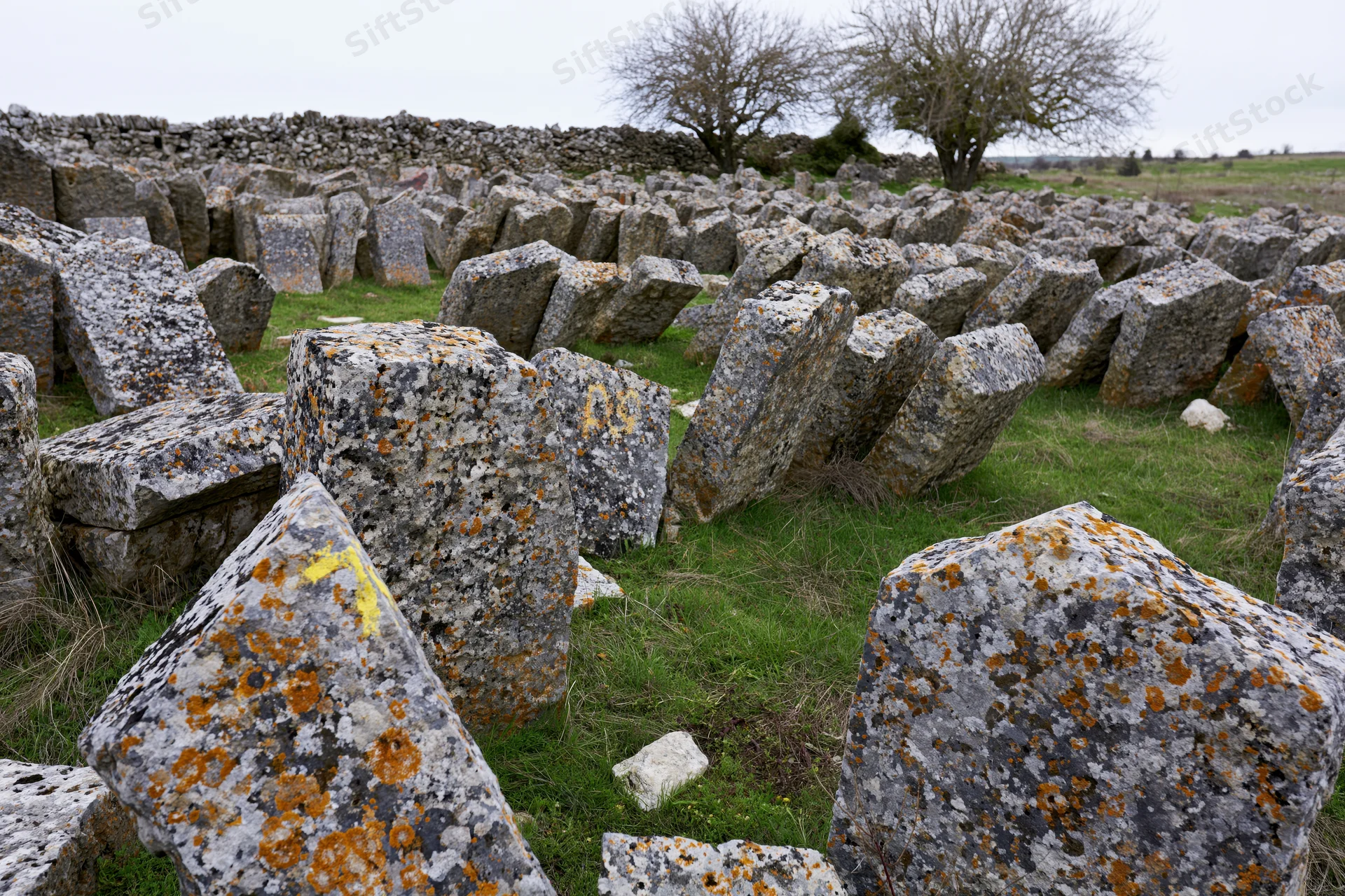 Weathered limestone tombstones scattered across a grassy field under an overcast sky