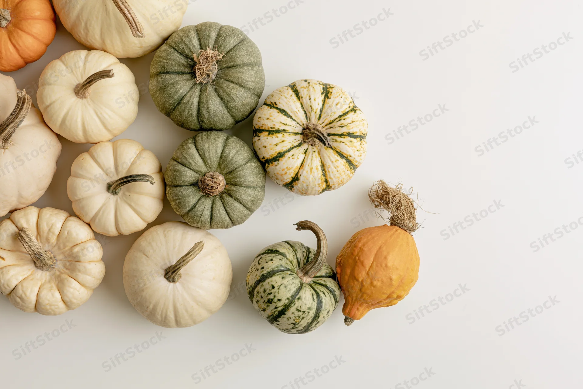 Assorted small pumpkins and gourds arranged on white surface with copyspace