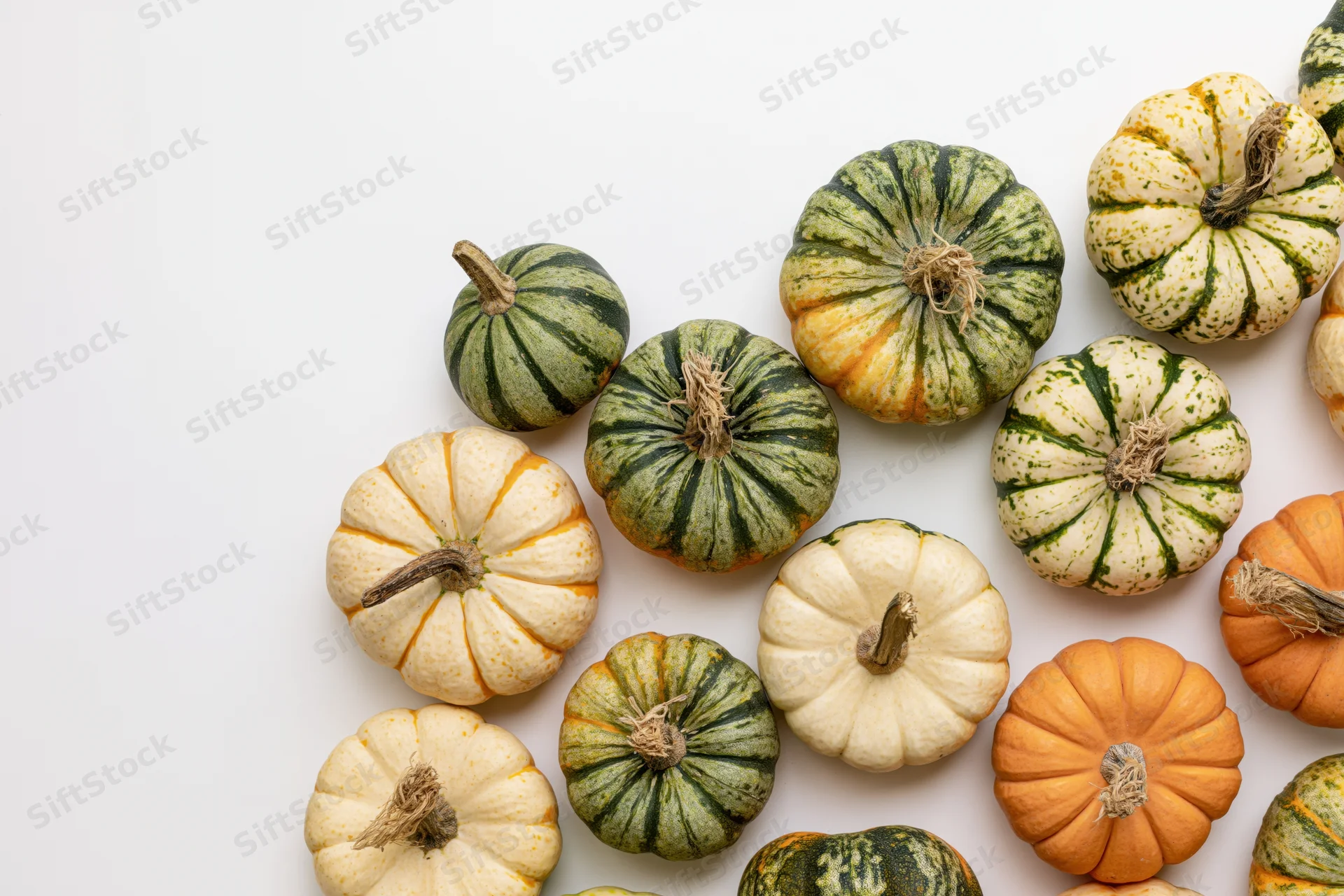 Assorted small pumpkins and gourds arranged on white surface with copyspace