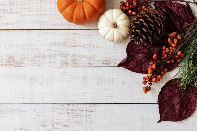 Autumn flat lay with pumpkins, pinecones, berries and leaves arranged in bottom right corner on white wooden table