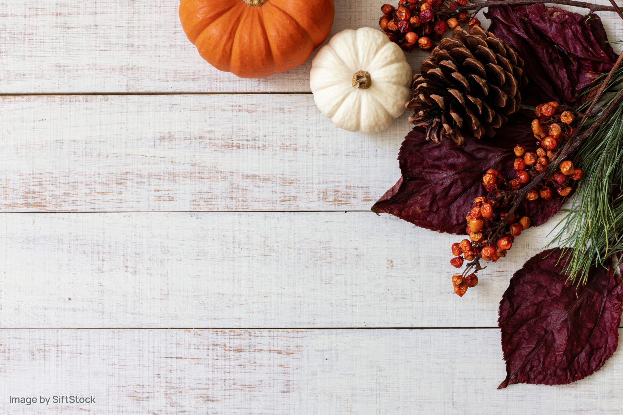 Autumn flat lay with pumpkins, pinecones, berries and leaves arranged in bottom right corner on white wooden table