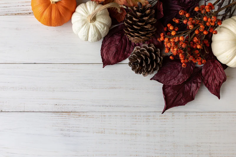Autumn flat lay with pumpkins, pinecones, berries and leaves arranged in bottom right corner on white wooden table
