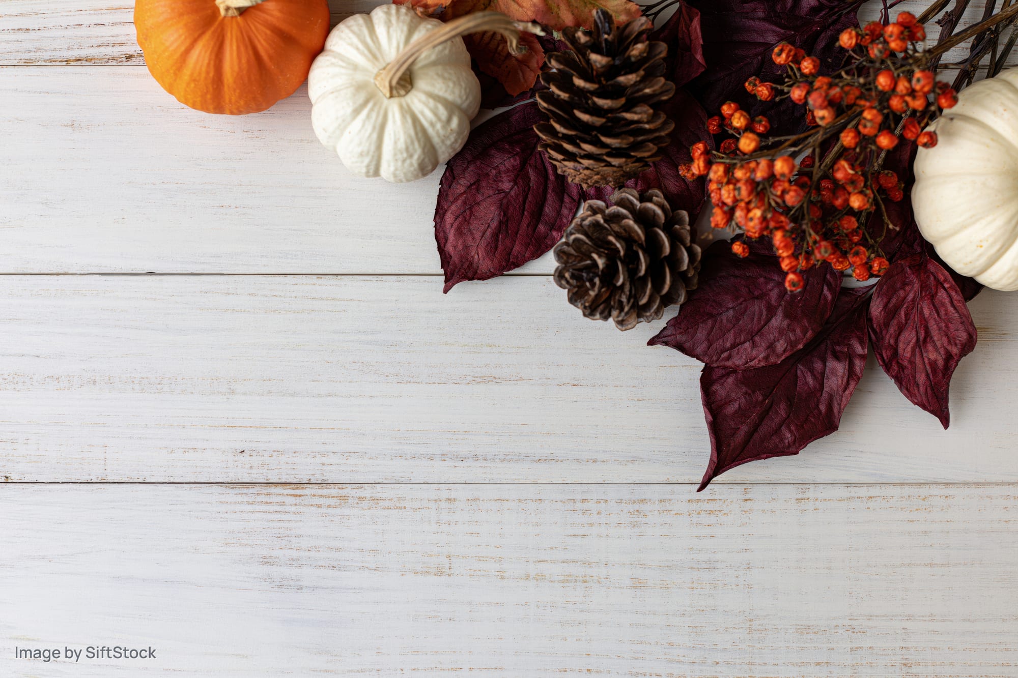 Autumn flat lay with pumpkins, pinecones, berries and leaves arranged in bottom right corner on white wooden table