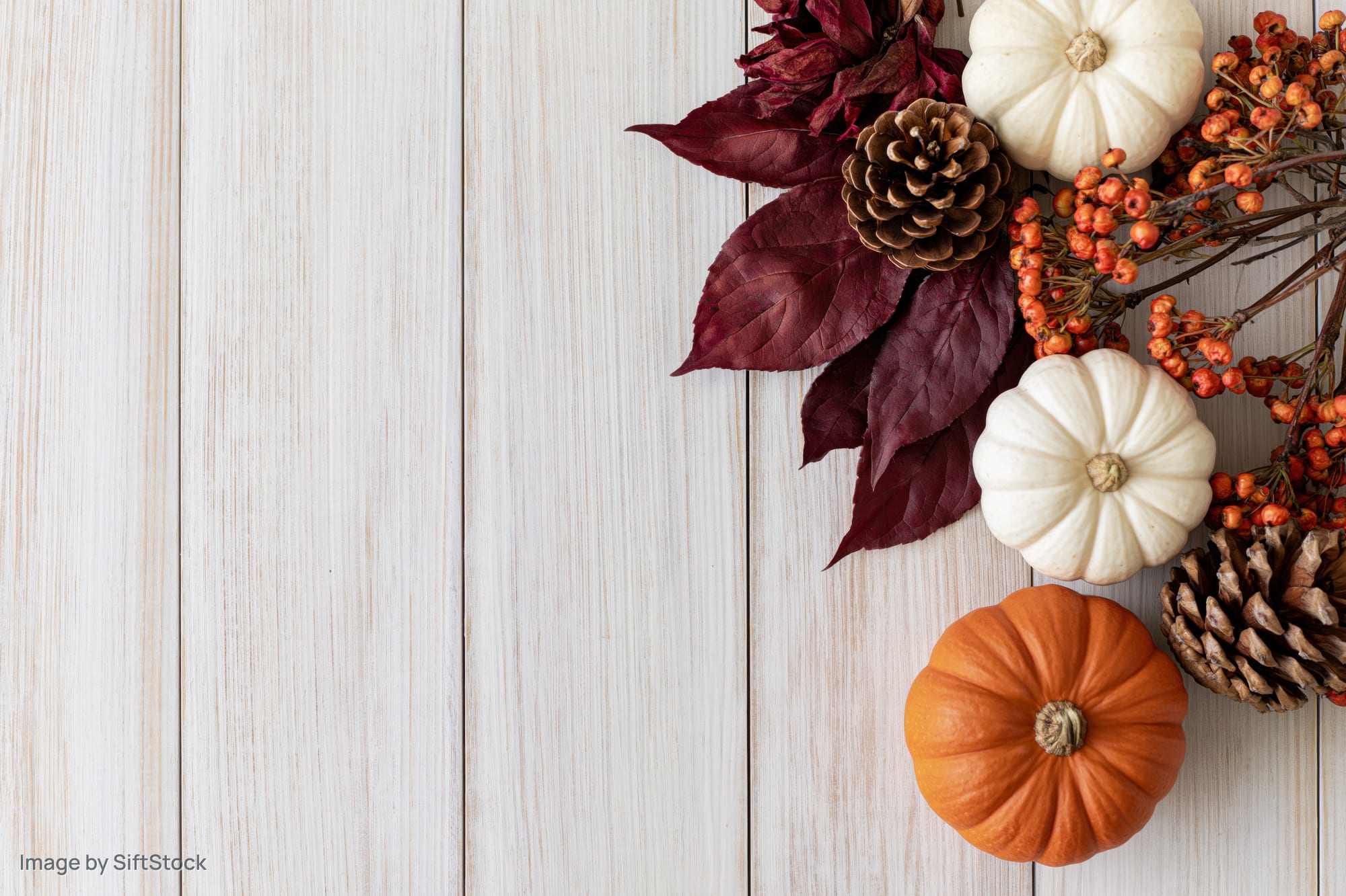 Autumn flat lay arrangement with pumpkins, pinecones, berries and leaves on a wooden table in the bottom right corner