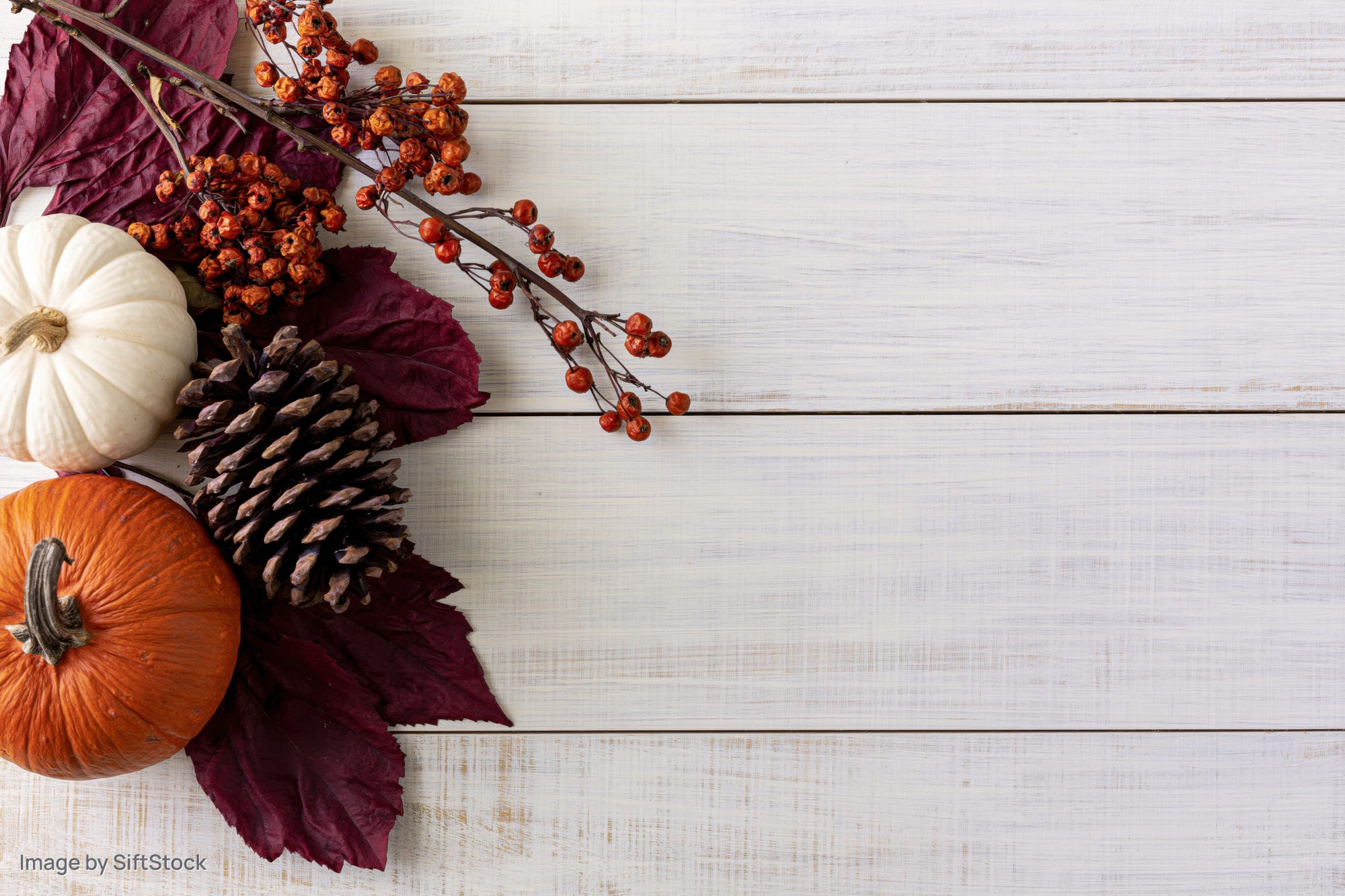 Autumn flat lay with pumpkins, pinecones, berries and leaves arranged in corner on white wooden table