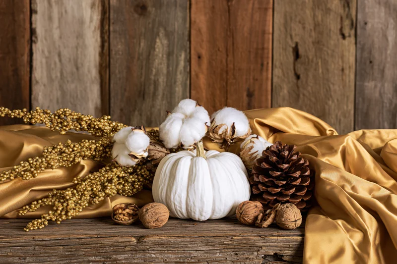 White pumpkin and cotton bolls arranged with pinecones and walnuts on golden satin over weathered wood
