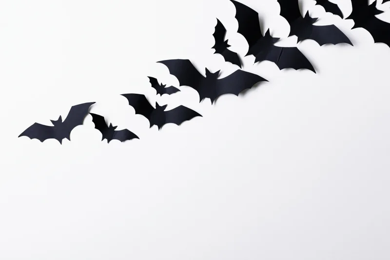 Black paper bat cutouts arranged diagonally across a white background