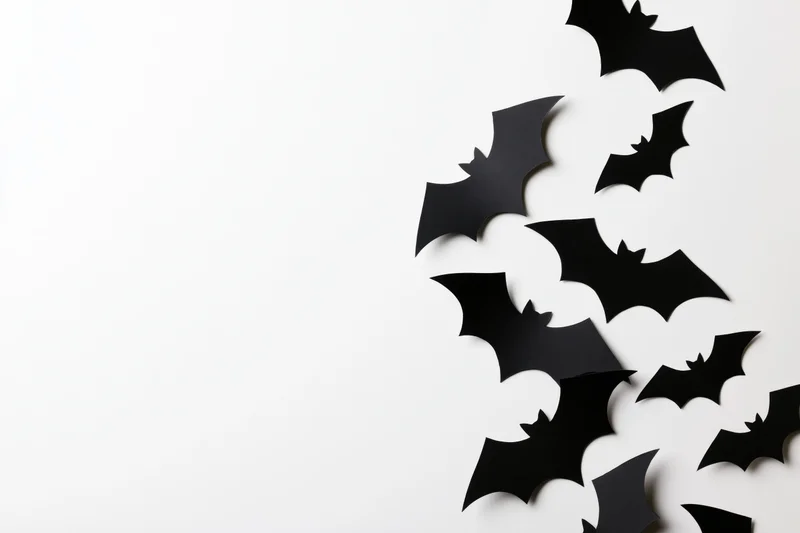 Black paper bat cutouts arranged diagonally on white surface