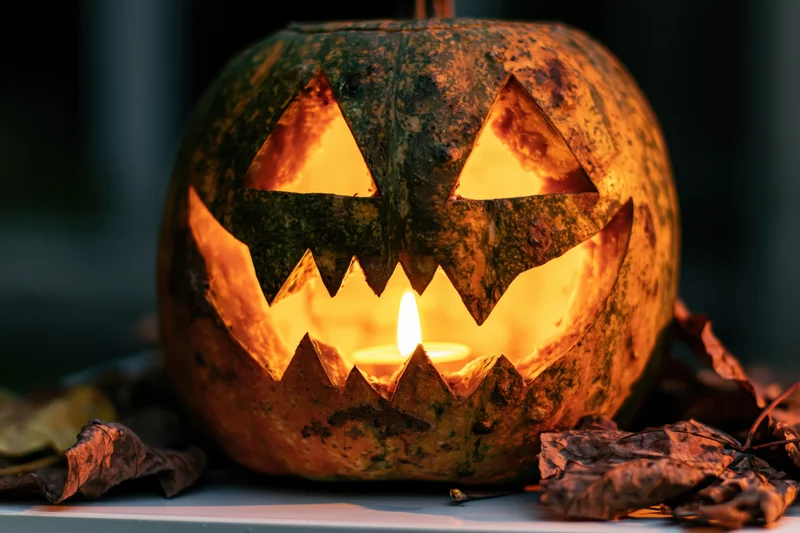 Carved pumpkin with glowing candle inside surrounded by dried leaves