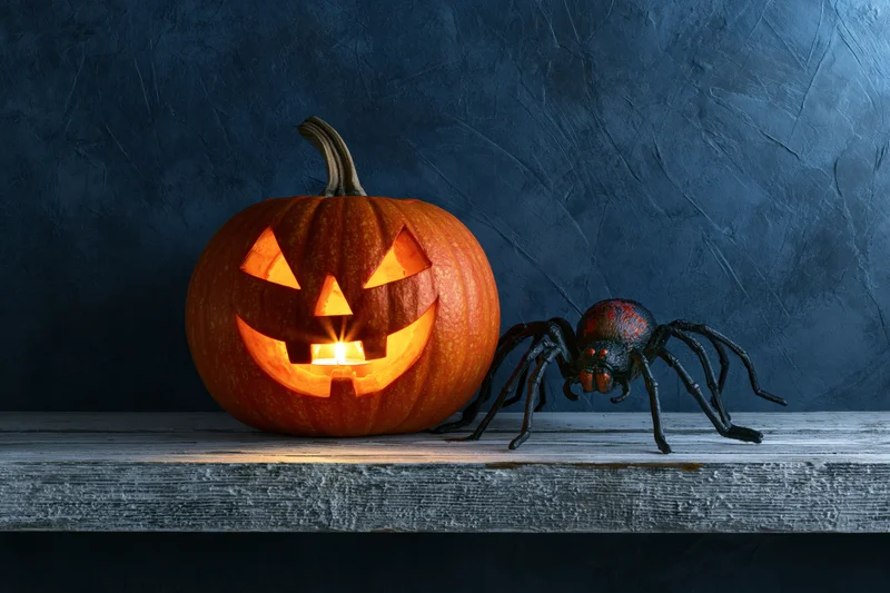 Carved jack-o-lantern glowing with candlelight beside a black spider on a wooden shelf against a dark textured wall