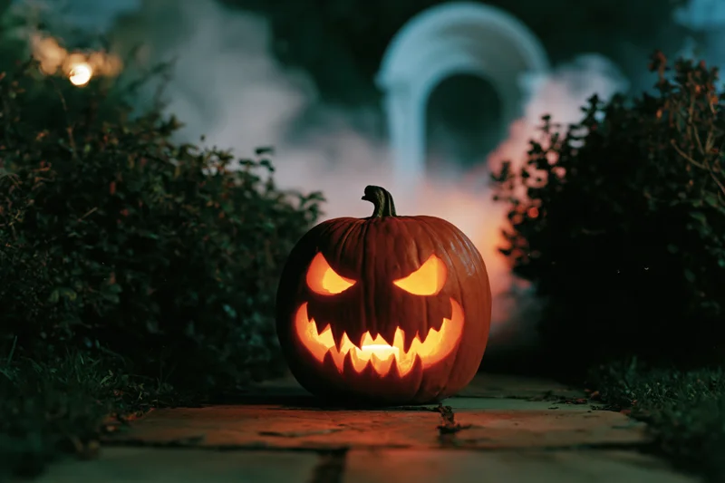 Carved jack-o-lantern with glowing evil grin on stone pathway at night surrounded by bushes and fog