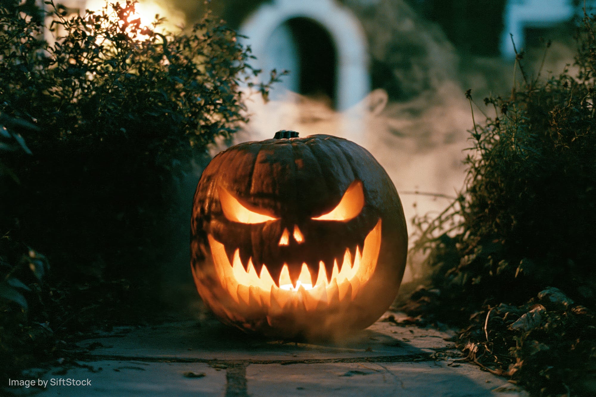Carved jack-o-lantern with glowing evil grin on stone path surrounded by foliage and smoke at night