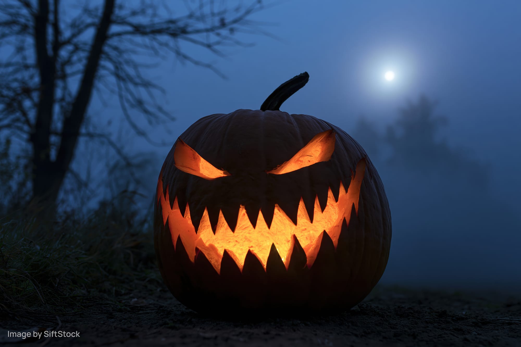 Carved pumpkin with jagged grin glowing in foggy night under moonlight