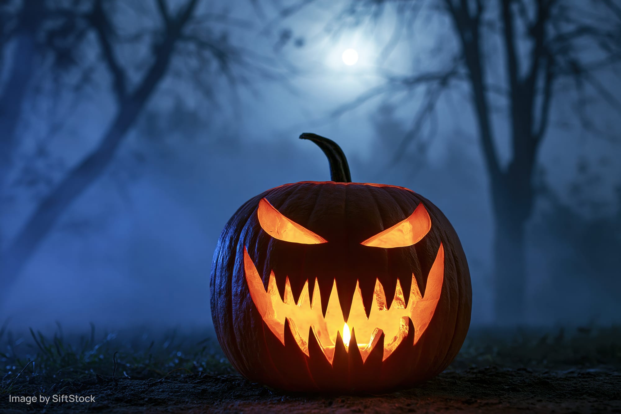 Carved pumpkin with jagged grin glowing in foggy forest at night