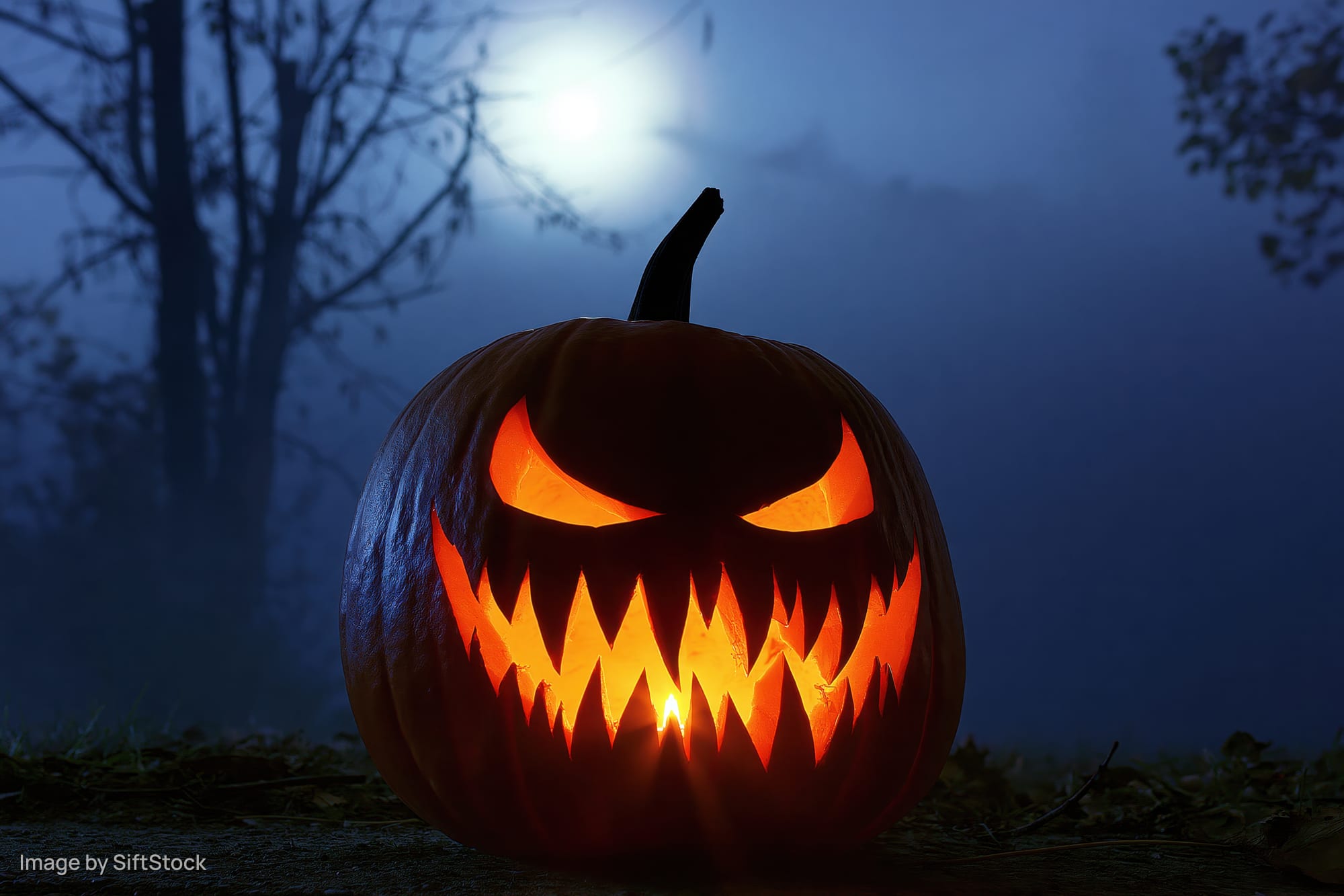 Carved pumpkin with jagged grin glowing in foggy forest at night under moonlight