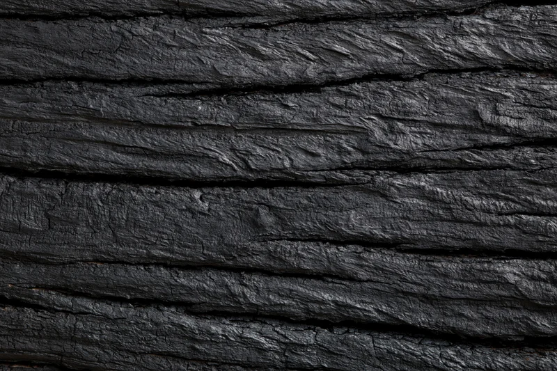 Close-up of dark charred wood surface with horizontal grain and cracked texture