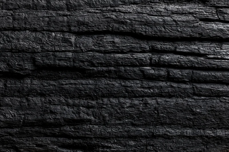 Close-up of charred wood surface showing dark textured grain and cracks