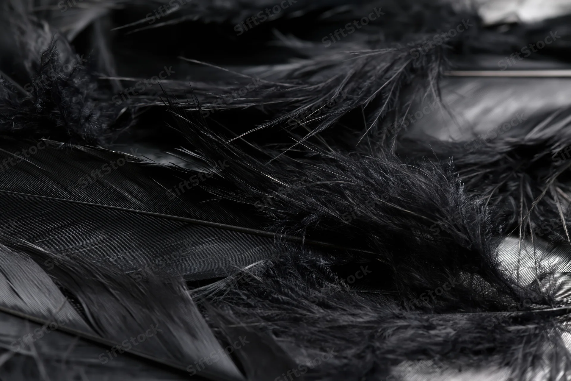 Closeup of overlapping dark feathers layered in soft texture with fine details and natural shadows