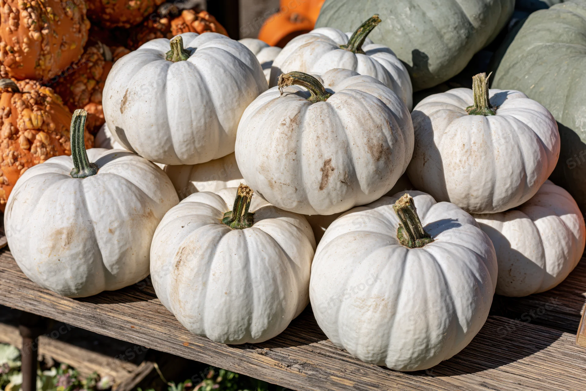 White ghost pumpkins piled on a weathered wooden shelf outdoors