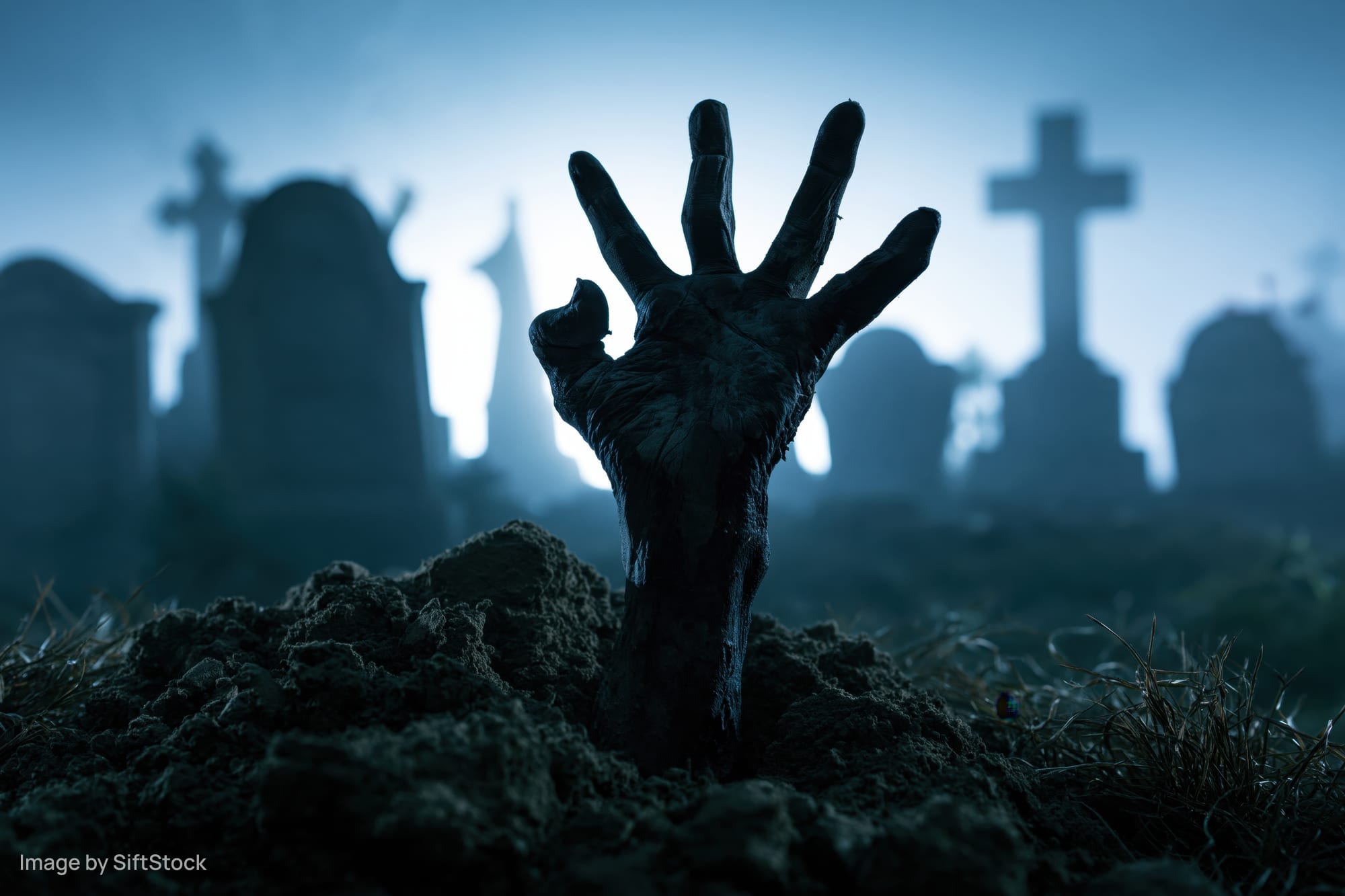 Decayed zombie hand emerging from dirt in a foggy graveyard at night