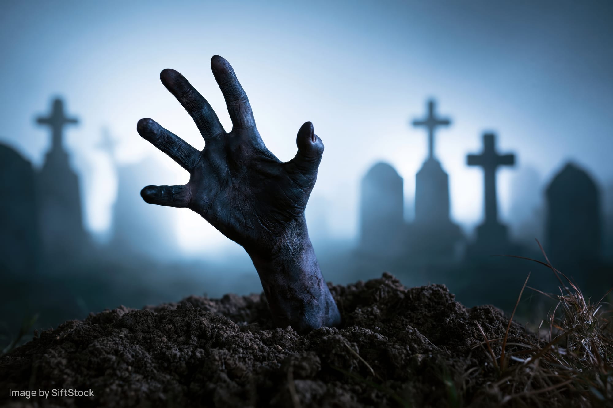 Decayed zombie hand emerging from dirt in a foggy graveyard