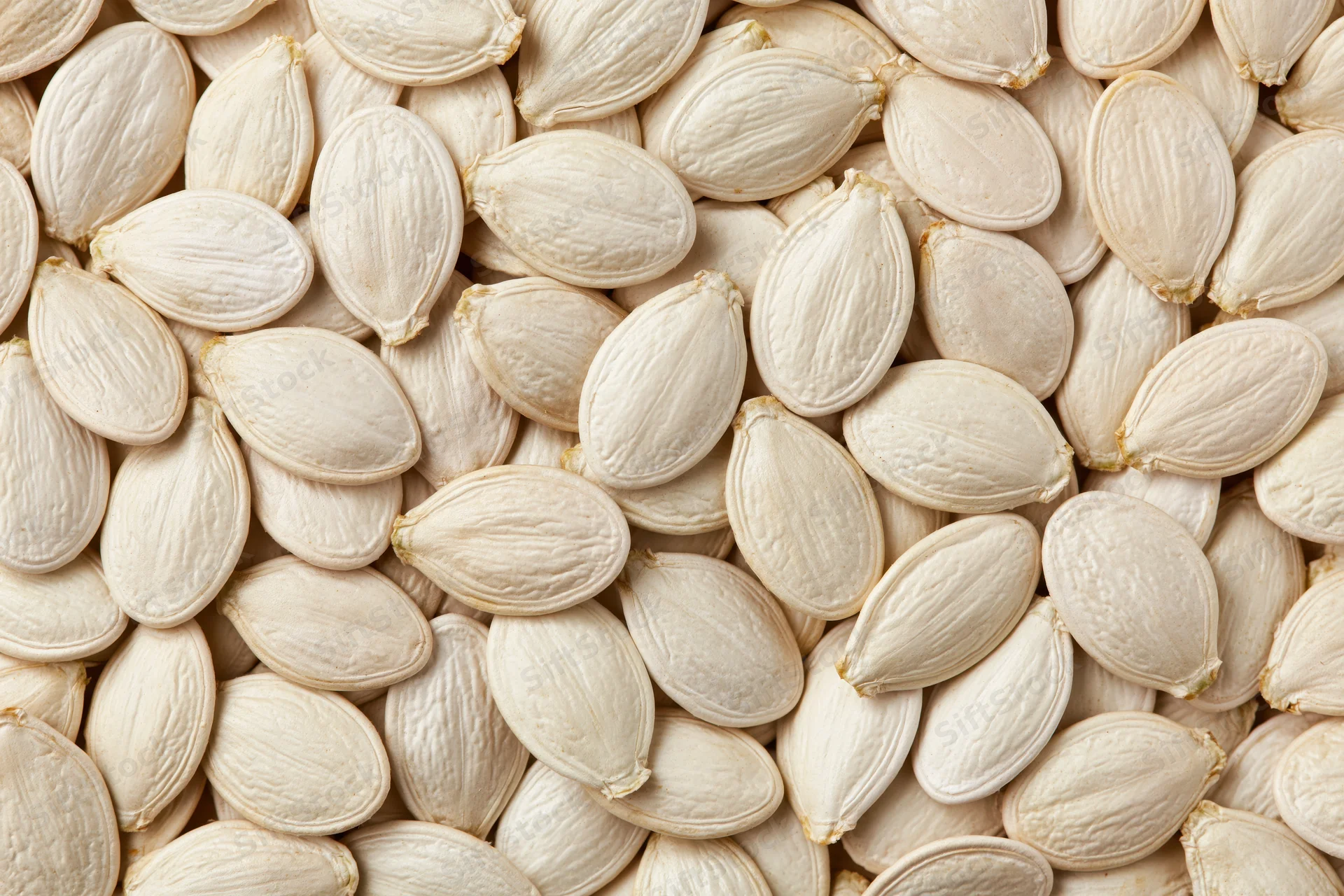 Dried white pumpkin seeds arranged in a flat lay filling the frame