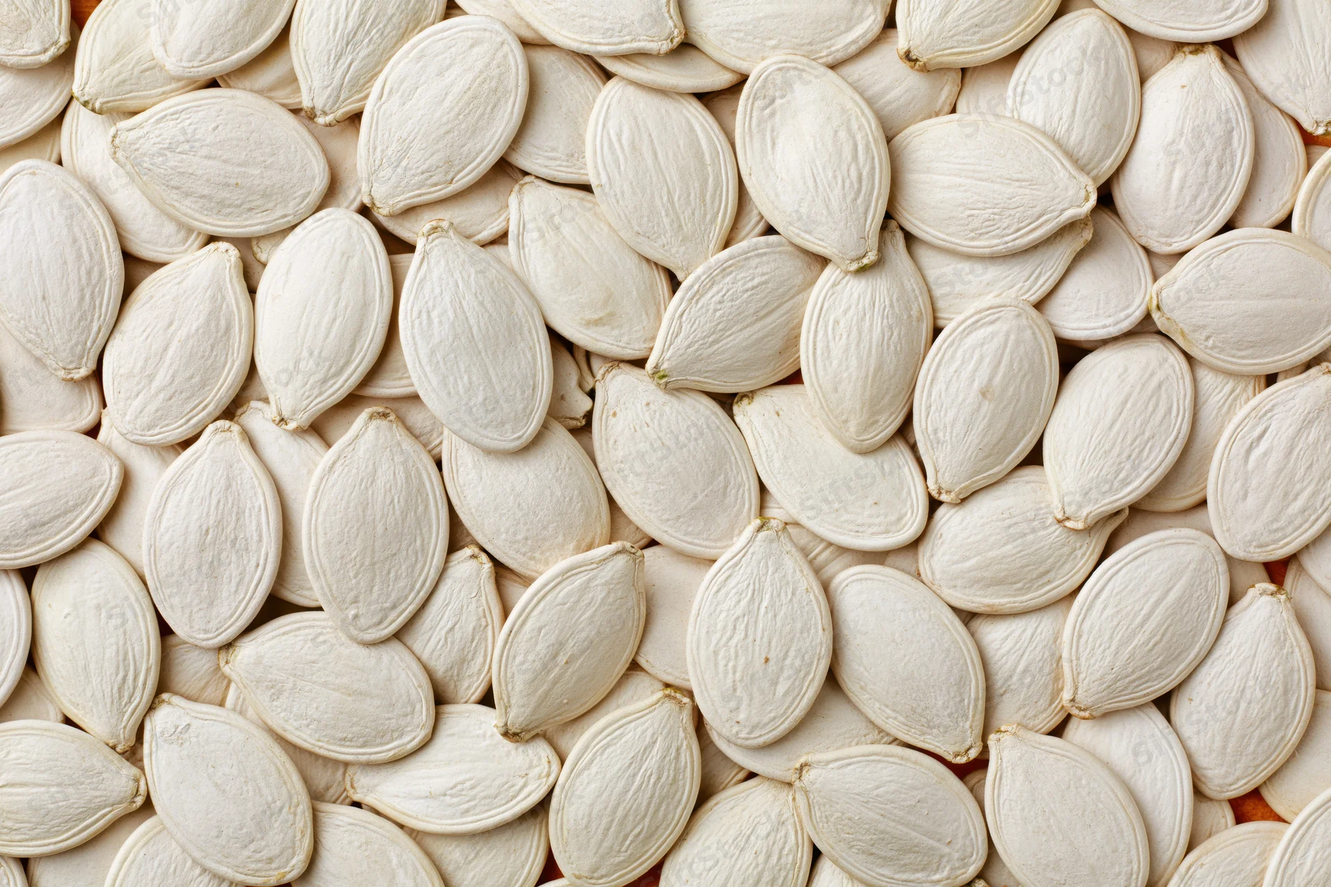 Dried white pumpkin seeds arranged in a flat lay filling the frame