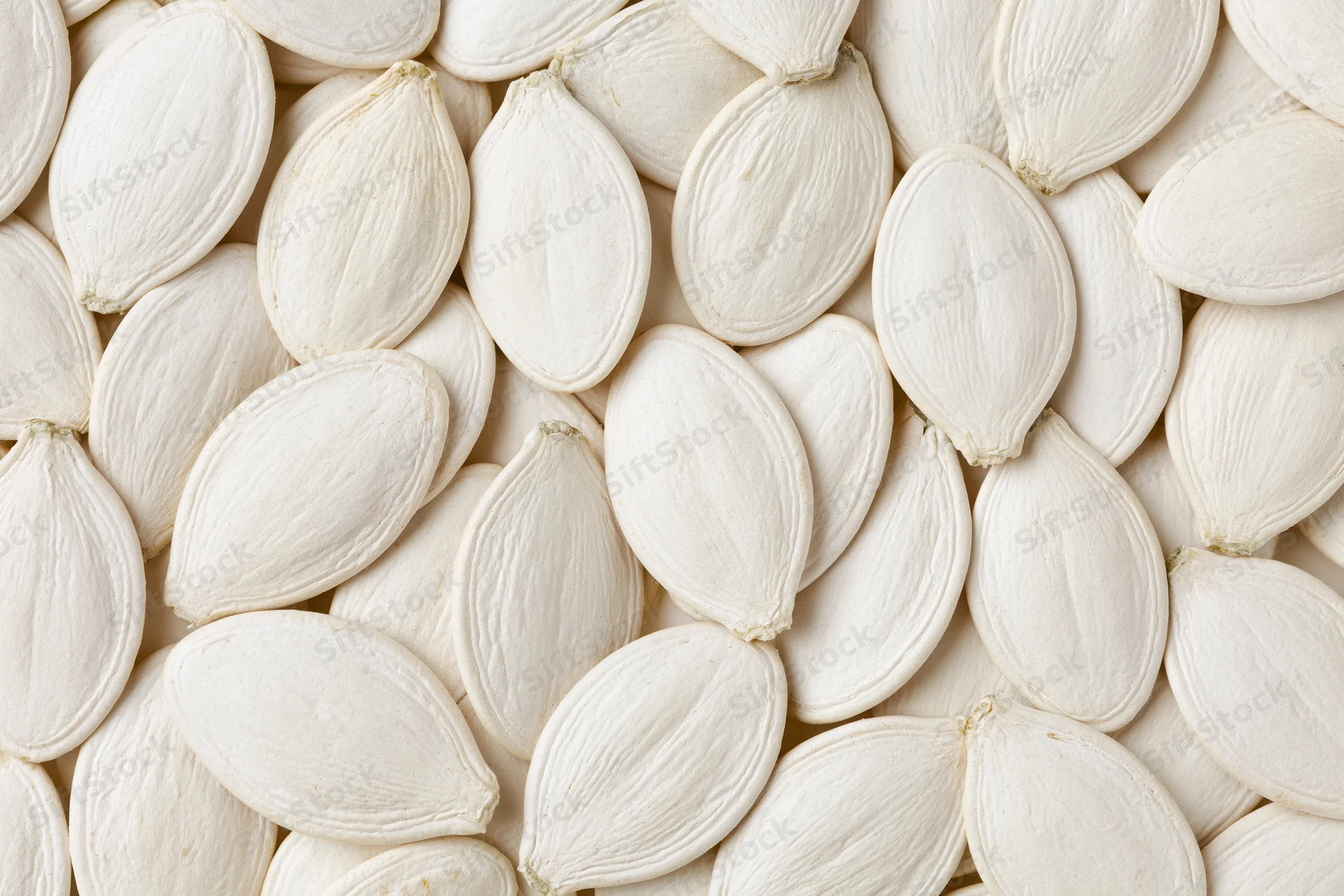 Dried white pumpkin seeds arranged in a flat lay filling the frame