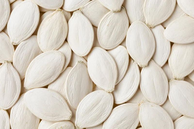 Dried white pumpkin seeds arranged in a flat lay filling the frame