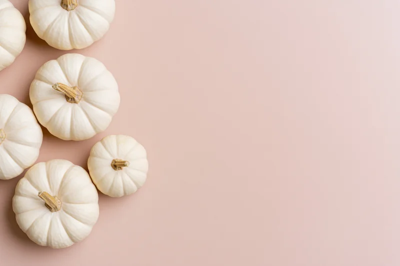 White baby boo pumpkins arranged in a loose cluster on a pink surface with copyspace