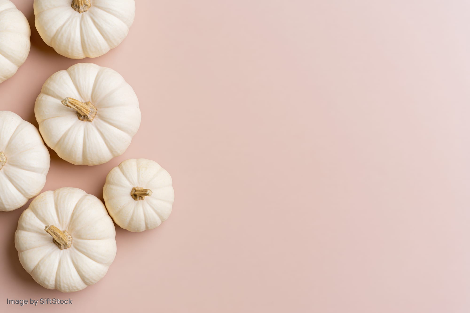 White baby boo pumpkins arranged in a loose cluster on a pink surface with copyspace