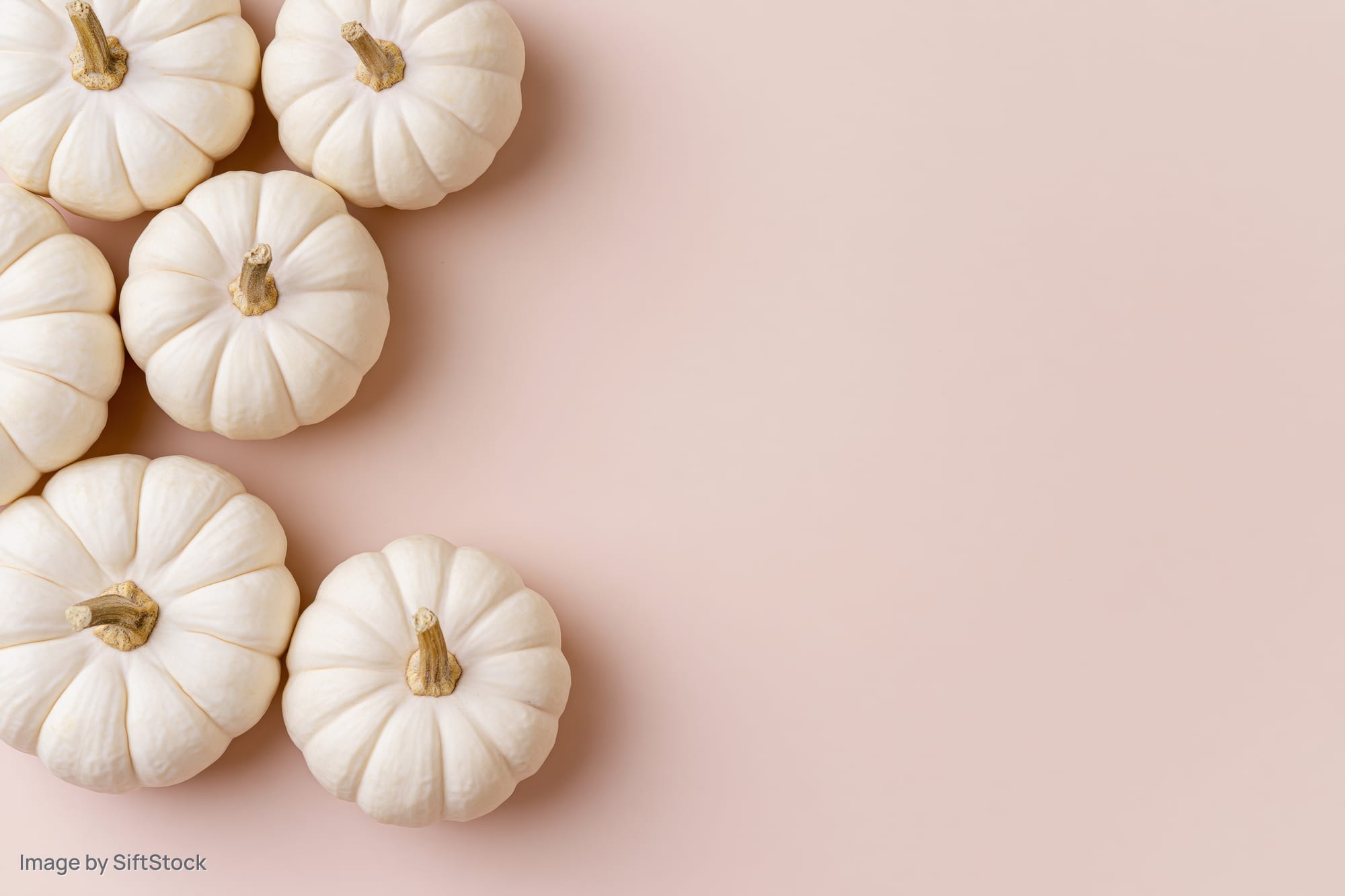 White baby boo pumpkins arranged in a corner on a soft beige surface with copyspace