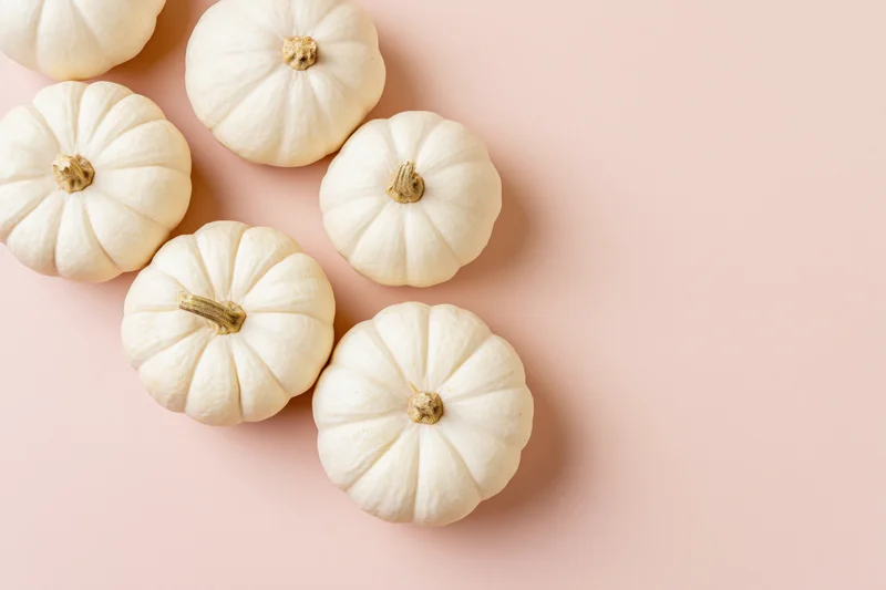 White baby boo pumpkins arranged in a loose cluster on a pink surface