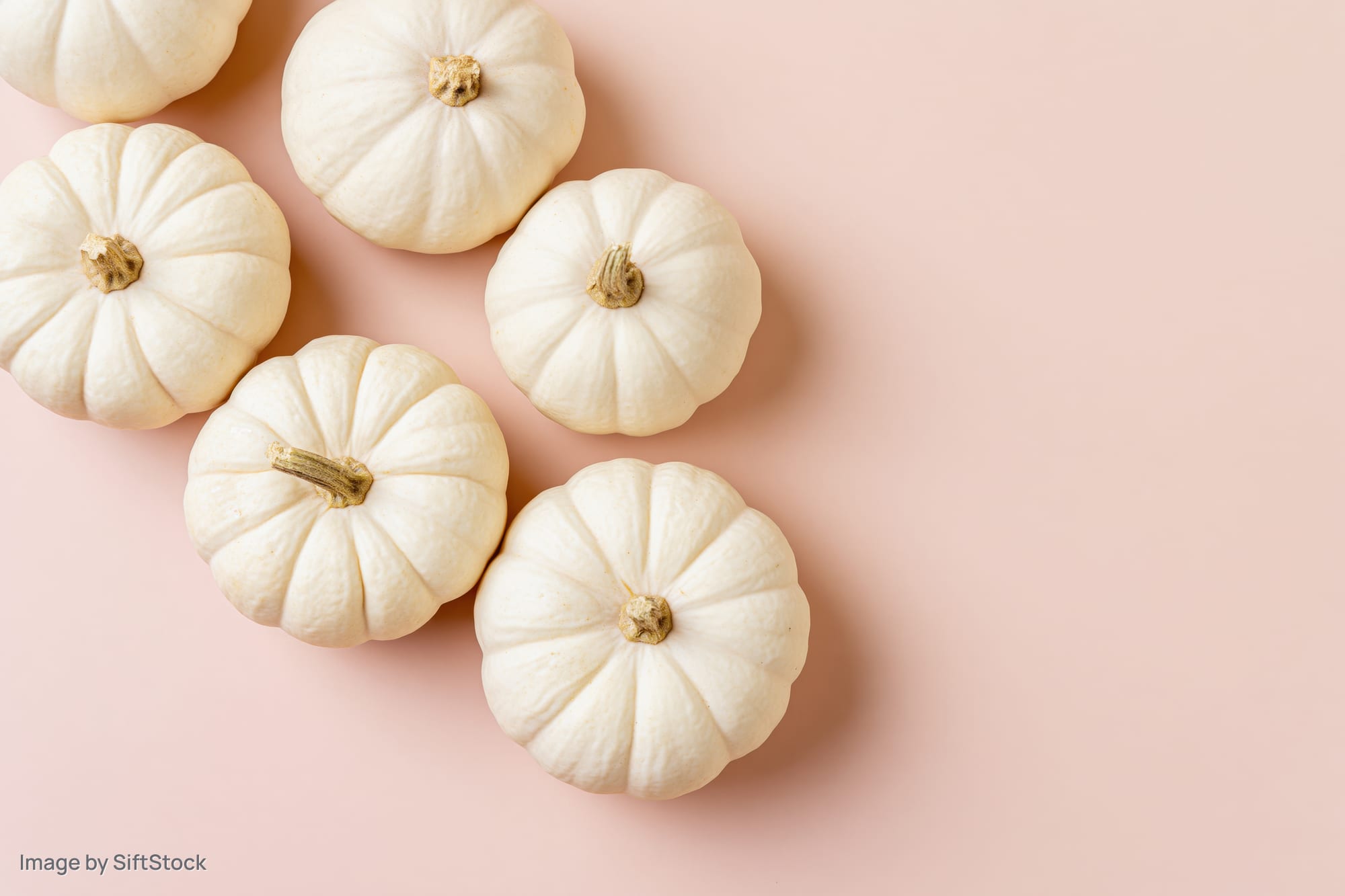 White baby boo pumpkins arranged in a loose cluster on a pink surface