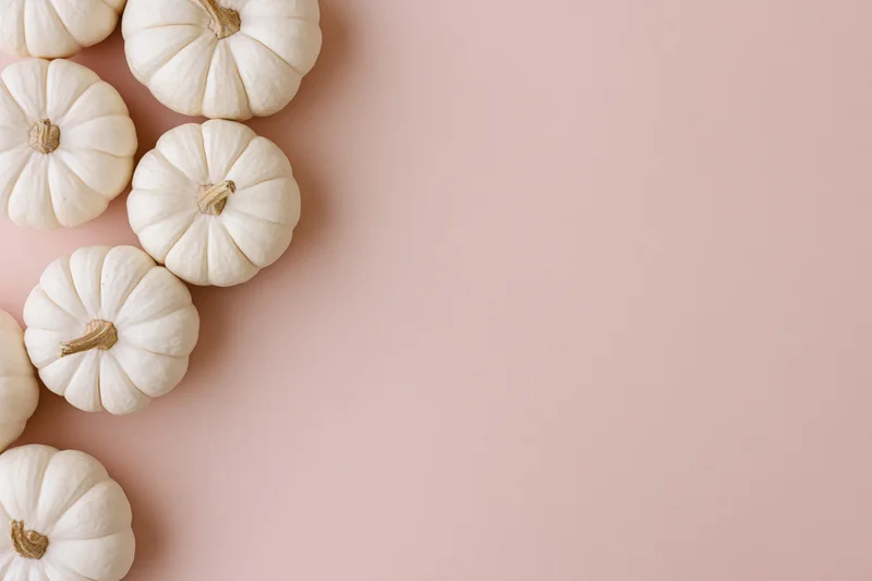 White baby boo pumpkins arranged along the left side of a pink surface with copyspace on the right