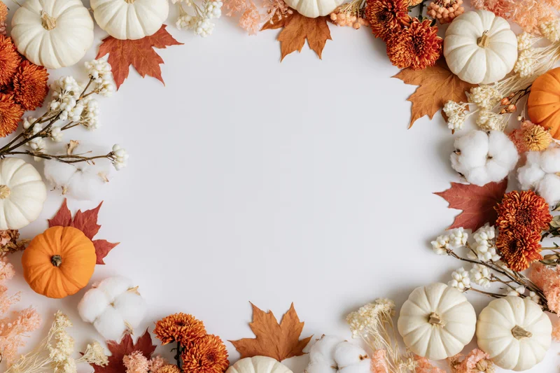 Autumnal flat lay with white and orange mini pumpkins, dried maple leaves, and flowers arranged in a border on white background