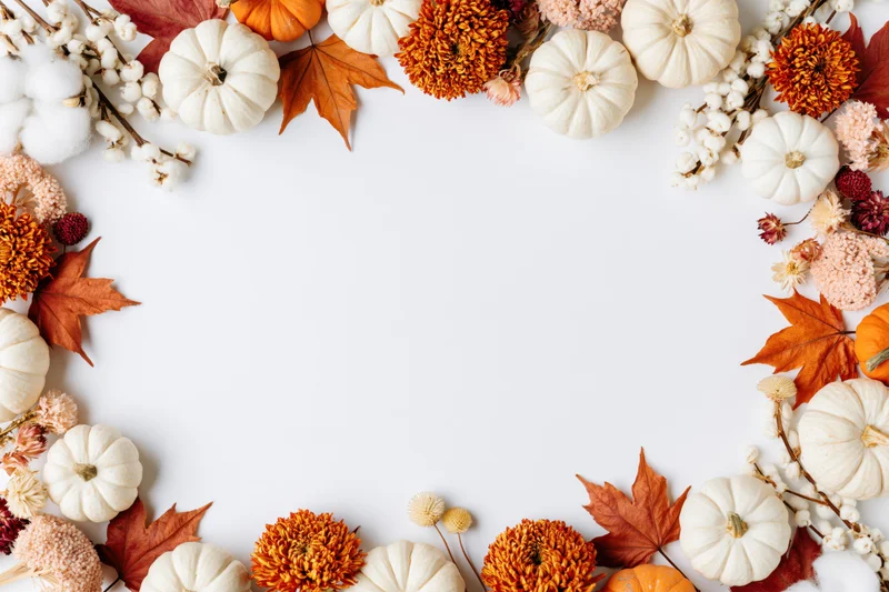 Autumnal flat lay with white and orange mini pumpkins, dried maple leaves, cotton, and flowers arranged in a border around a white background