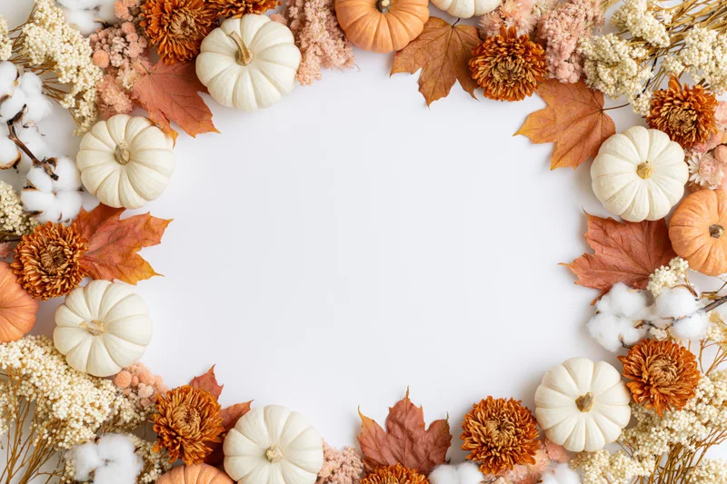 Autumnal flat lay with white and orange mini pumpkins, dried maple leaves, cotton, and flowers arranged in a border around a white center