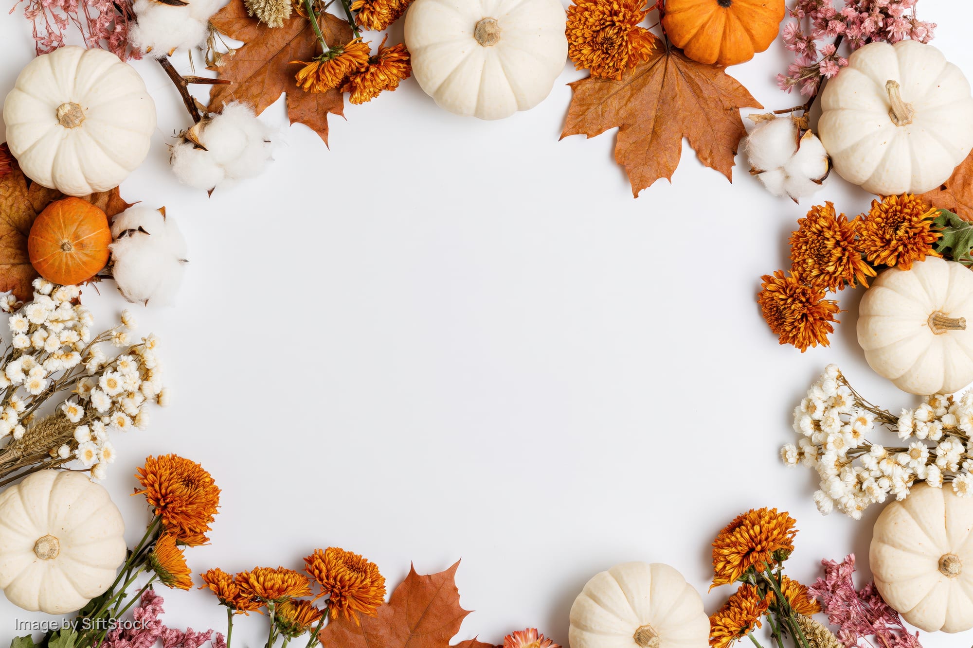 Autumn decorations arranged in a frame around a white surface with copyspace