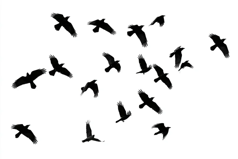 Silhouetted crows in mid-flight against a white background