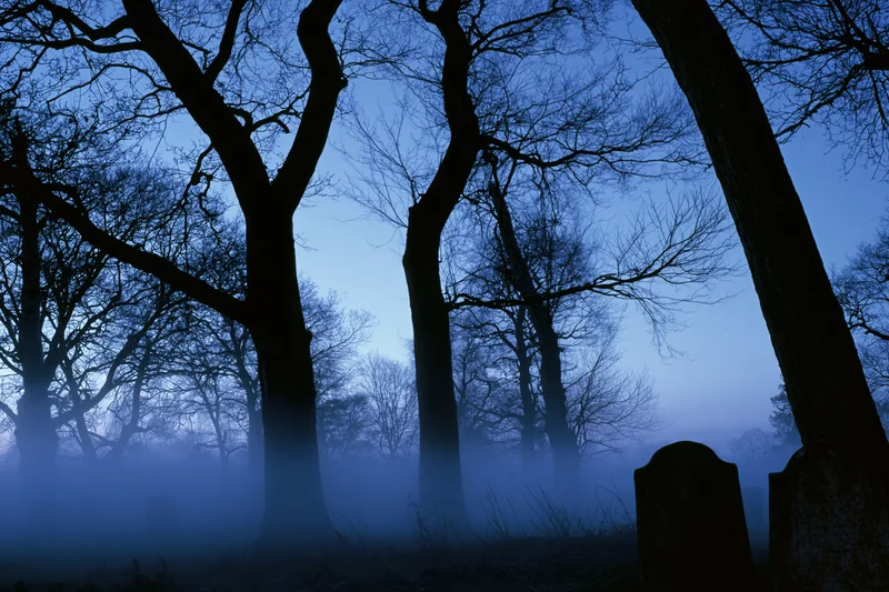 Silhouetted bare trees in a foggy old cemetery at night
