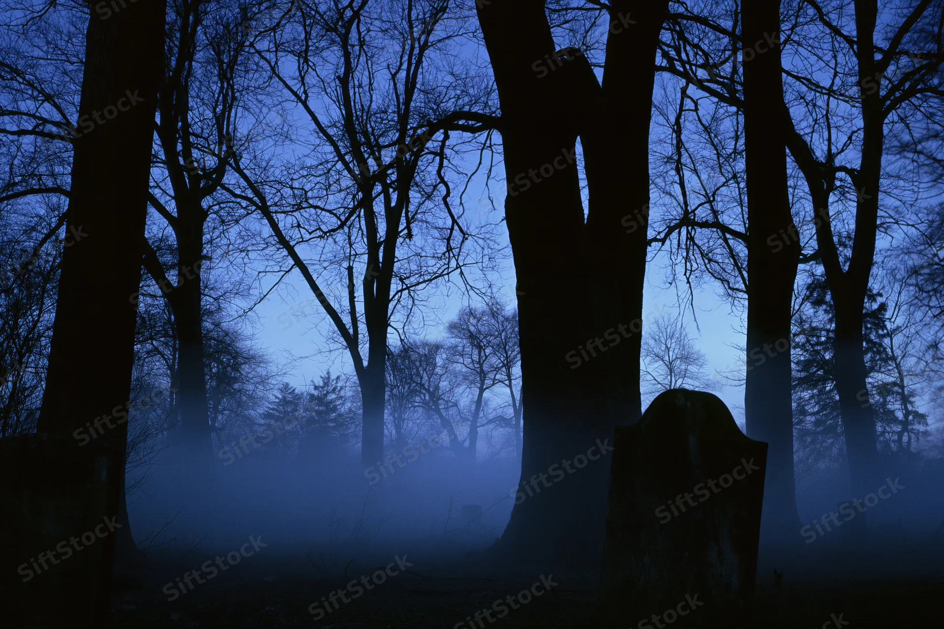 Foggy old cemetery at night with bare leafless trees silhouetted against a dark blue sky