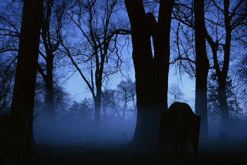 Foggy old cemetery at night with bare leafless trees silhouetted against a dark blue sky