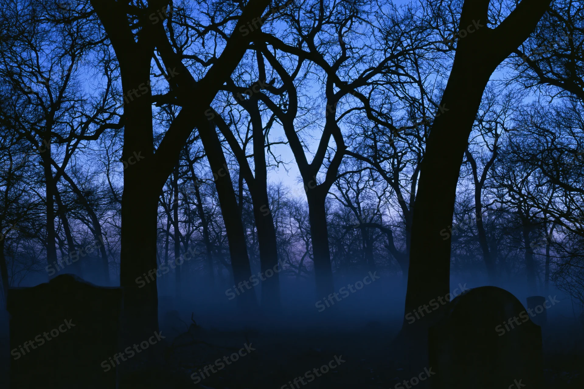 Silhouetted bare trees in a foggy old cemetery at night