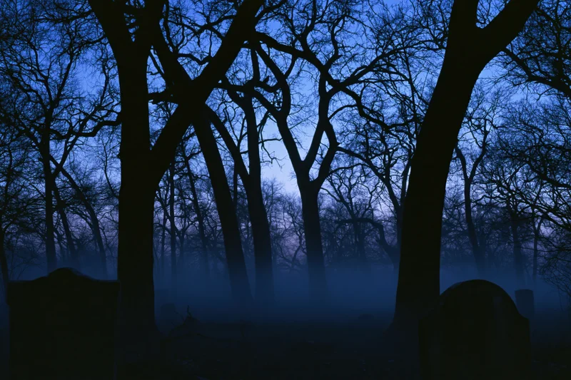 Silhouetted bare trees in a foggy old cemetery at night