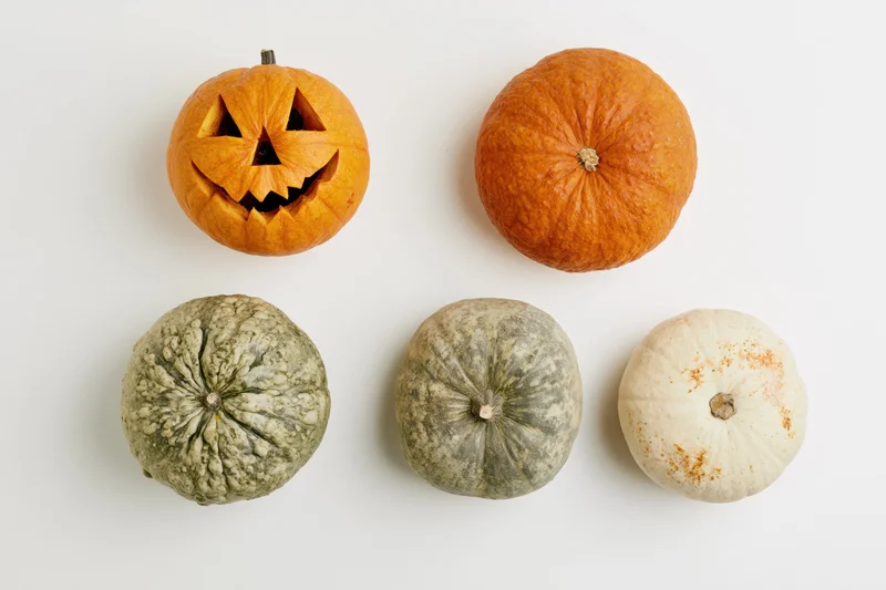 Carved jack-o-lantern and four decorative pumpkins arranged in grid on white surface