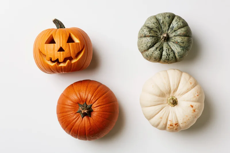 Four pumpkins arranged in a grid on white background, one carved as jack-o-lantern