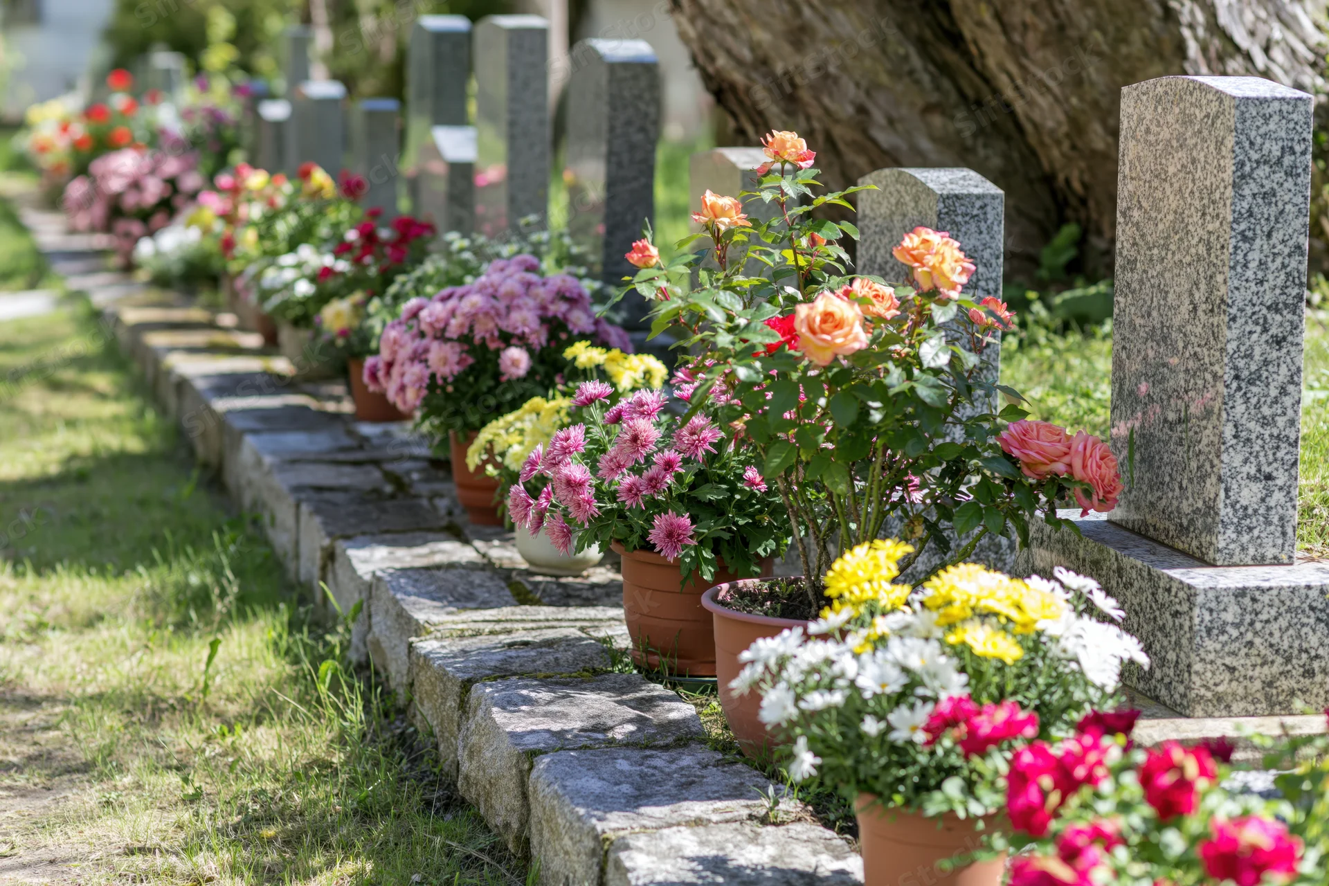 Rows of granite headstones in a french village cemetery lined with potted flowers along a stone pathway