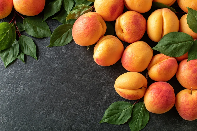 Fresh apricots with green leaves arranged on dark slate surface in flat lay composition