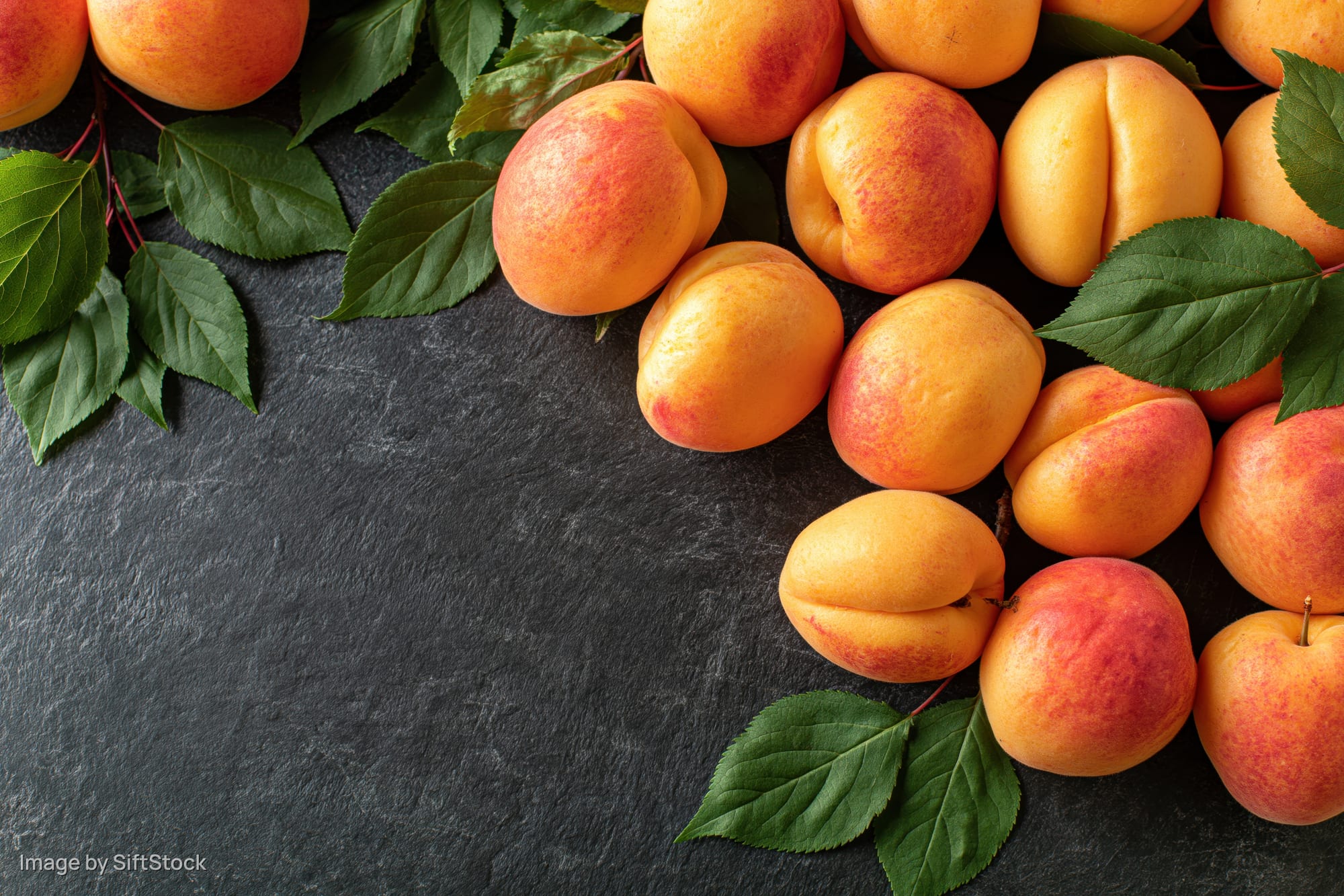 Fresh apricots with green leaves arranged on dark slate surface in flat lay composition